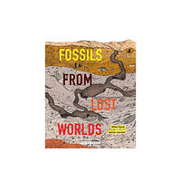 Gecko Press Fossils from Lost Worlds (inbunden, eng)