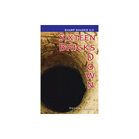 Ransom Publishing Sixteen Bricks Down  (Sharp Shades) (häftad, eng)