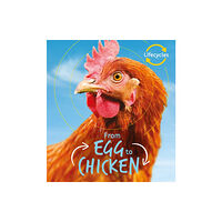 Quarto Publishing Plc Lifecycles: Egg to Chicken (häftad, eng)