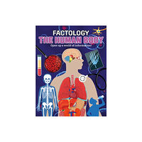 Button Books Factology: The Human Body (inbunden, eng)