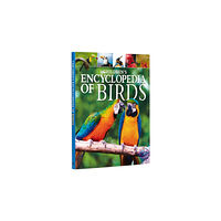 Arcturus publishing ltd Children's Encyclopedia of Birds (inbunden, eng)