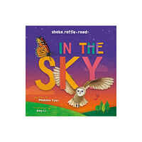 BookLife Publishing In the Sky (inbunden, eng)