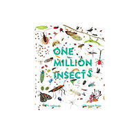 Hachette Children's Group One Million Insects (häftad, eng)
