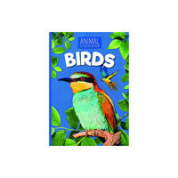 BookLife Publishing Birds (häftad, eng)