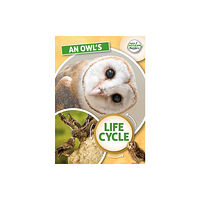 BookLife Publishing An Owl's Life Cycle (häftad, eng)