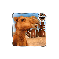 BookLife Publishing In the Sand (häftad, eng)