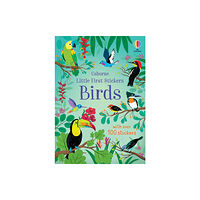 Usborne Publishing Ltd Little First Stickers Birds (häftad, eng)