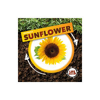 BookLife Publishing Life Cycle of a Sunflower (inbunden, eng)