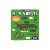 Templar Publishing Little Explorers: In the Rainforest (bok, board book, eng)