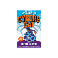 Templar Publishing Ade's Amazing Ade-Ventures: The Mystery of the Night Spider (häftad, eng)