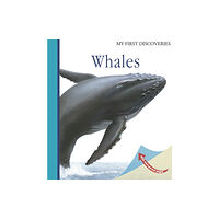 Moonlight Publishing Ltd Whales (bok, spiral, eng)