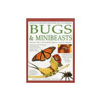 Anness publishing Illustrated Wildlife Encyclopedia: Bugs & Minibeasts (inbunden, eng)