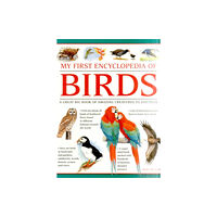 Anness publishing My First Encylopedia of Birds (giant Size) (häftad, eng)