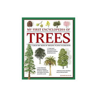 Anness publishing My First Encyclopedia of Trees (giant Size) (häftad, eng)