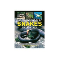 Anness publishing Snakes and Reptiles, Ultimate Book of (inbunden, eng)