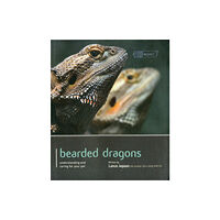 Magnet & Steel Publishing Ltd Bearded Dragon - Pet Expert (häftad, eng)