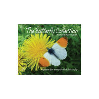 Brambleby Books The Butterfly Collection (inbunden, eng)