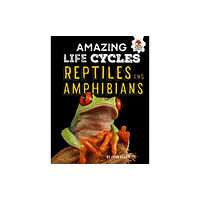 Hungry Tomato Ltd Reptiles and Amphibians - Amazing Life Cycles (häftad, eng)