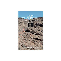 Eyewear Publishing Wild Swimming at Scarweather Sands (häftad, eng)