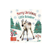 Magic Cat Publishing Merry Christmas, Little Reindeer (bok, board book, eng)