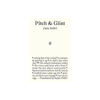 And Other Stories Pitch & Glint (häftad, eng)