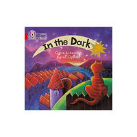 HarperCollins Publishers In the Dark (häftad, eng)