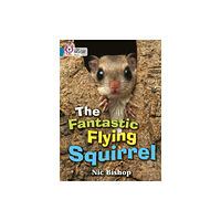 HarperCollins Publishers The Fantastic Flying Squirrel (häftad, eng)