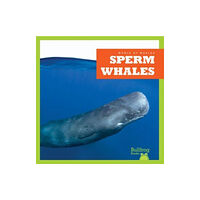 Bullfrog Books Sperm Whales (inbunden, eng)