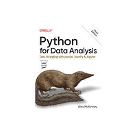 O'Reilly Media Python for Data Analysis 3e (häftad, eng)