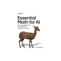 O'Reilly Media Essential Math for AI (häftad, eng)