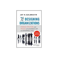 John Wiley & Sons Inc Designing Organizations (inbunden, eng)