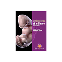 John Wiley And Sons Ltd Embryology at a Glance (häftad, eng)