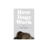 The university of chicago press How Dogs Work (häftad, eng)