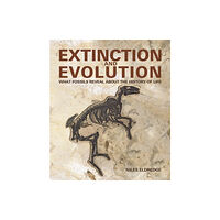 Firefly Books Ltd Extinction and Evolution (häftad, eng)