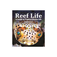 Firefly Books Ltd Reef Life (häftad, eng)