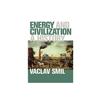 Mit press ltd Energy and Civilization (häftad, eng)