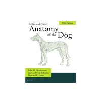 Elsevier - Health Sciences Division Miller's Anatomy of the Dog (inbunden, eng)