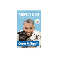 Hodder & Stoughton How to Raise the Perfect Dog (häftad, eng)