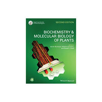John Wiley & Sons Inc Biochemistry and Molecular Biology of Plants (häftad, eng)