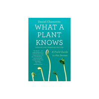 Farrar, Straus and Giroux What a Plant Knows (häftad, eng)