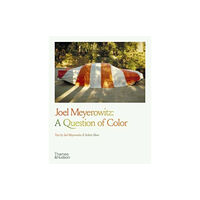 Thames & Hudson Ltd Joel Meyerowitz: A Question of Color (häftad, eng)