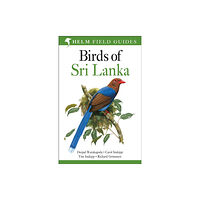 Bloomsbury Publishing PLC Field Guide to Birds of Sri Lanka (häftad, eng)