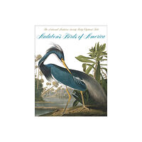 Abbeville Press Inc.,U.S. Audubon's Birds of America (inbunden, eng)