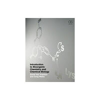 Taylor & francis inc Introduction to Bioorganic Chemistry and Chemical Biology (häftad, eng)