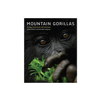 Johns Hopkins University Press Mountain Gorillas (inbunden, eng)