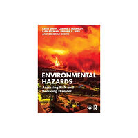 Taylor & francis inc Environmental Hazards (häftad, eng)