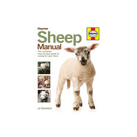 Haynes Publishing Group Sheep Manual (inbunden, eng)