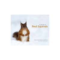 Wagtail Press On the Trail of Red Squirrels (inbunden, eng)