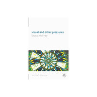 Palgrave USA Visual and Other Pleasures (häftad, eng)