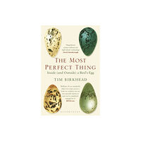 Bloomsbury Publishing PLC The Most Perfect Thing (häftad, eng)